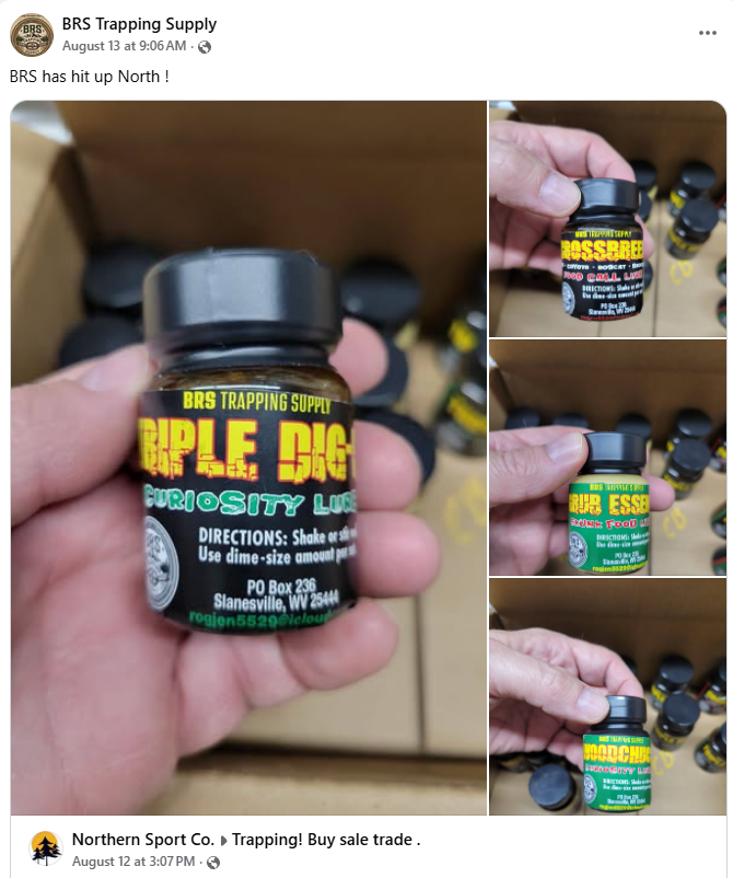 Trapping Tips